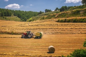 agriculture farmer working on his tractor